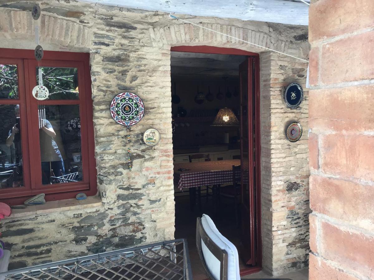 Casa Jordi Villa Cadaques Bagian luar foto